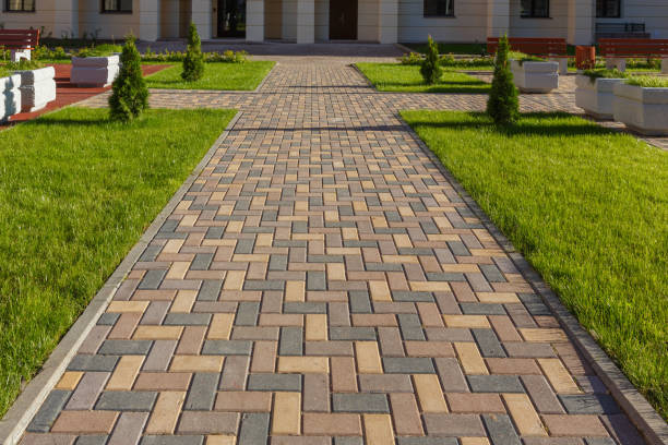 Best Local Driveway Pavers  in Colon, MI